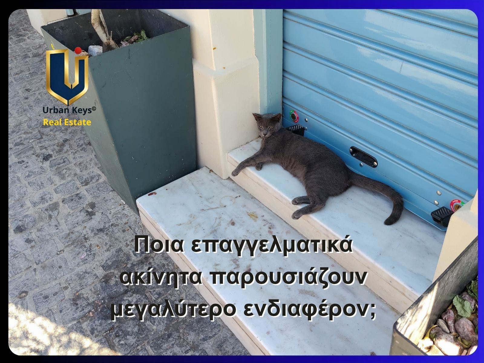 Επαγγελματικά ακίνητα με μεγαλύτερο ενδιαφέρον στο Μοναστηράκι και στο Ιστορικό Κέντρο της Αθήνας